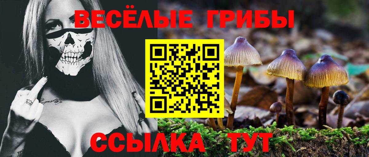 Галлюциногенные грибы ЛСД  Вход с VPN  Дюртюли 