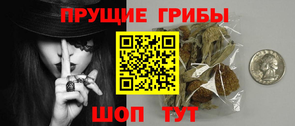 Псилоцибиновые грибы мицелий Дюртюли